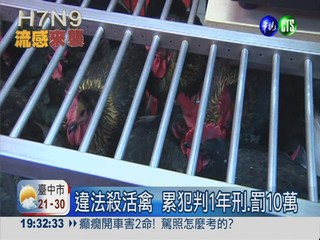 阻絕H7N9 市場6/17起禁殺活禽
