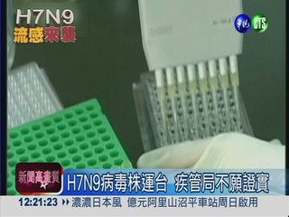 H7N9病毒株運台 疾管局不願證實