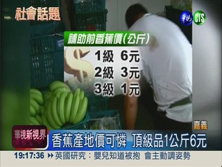 頂級香蕉1公斤6元 蕉農欲哭無淚