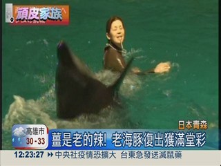 32歲老海豚秀 水族館新賣點