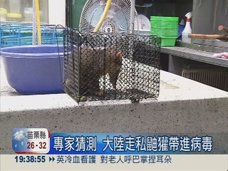 狂犬恐擴散 法專家:存在台灣逾1年