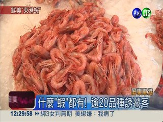 7.8月最盛產! 生吃鮮甜東港蝦