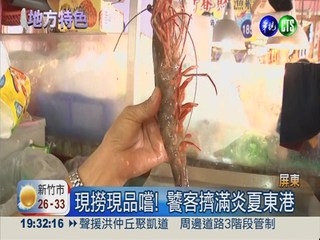 7.8月最盛產! 生吃鮮甜東港蝦