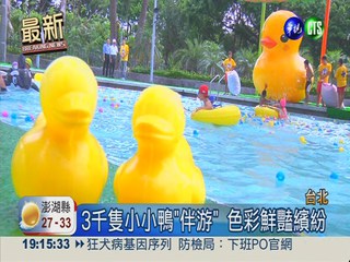 泳池水樂園! 3米高黃色小鴨同樂