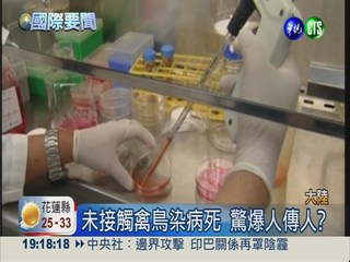 父女染病過世! 陸H7N9疑人傳人