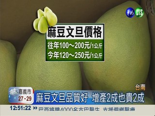 麻豆文旦產值多2成 價格也變貴
