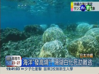 熱浪一波波 沖繩7成珊瑚被燙死