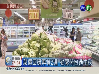 中南部農損破4億 果菜.豬肉全漲