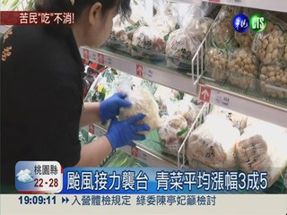 中南部農損破4億 果菜.豬肉全漲