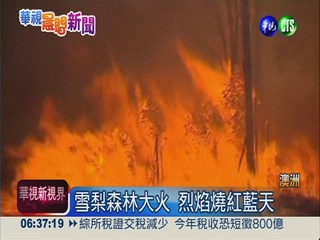 雪梨森林大火 烈焰燒紅藍天