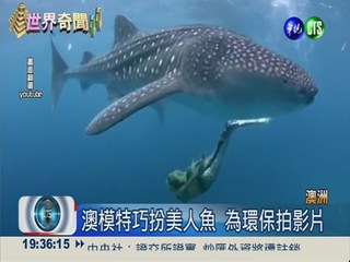 推廣海洋保育 "美人魚"與鯊共遊!