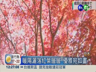 關東紅葉片片 秋季旅遊大熱門