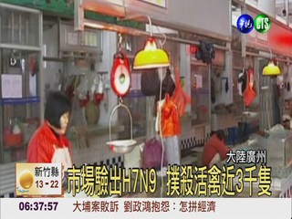 陸H7N9疫情升溫 浙江新增1例