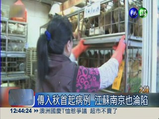陸H7N9肆虐 廣東疫情最嚴重!