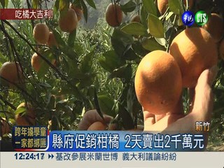 新竹促銷柑橘 2天賣出2千萬元