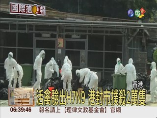 香港爆H7N9 休市撲殺2萬隻活禽