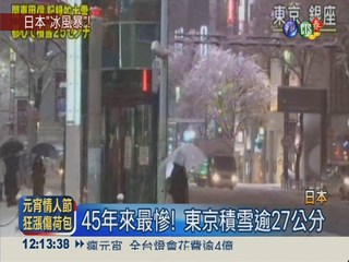 暴雪狂襲日本 至少4死逾600傷
