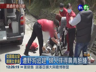 婦人遭狗追摔倒 護士路過助送醫