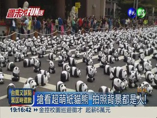 1600隻紙貓熊出籠 民眾排隊搶拍