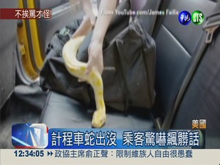 計程車有蛇! 乘客被整嚇壞尖叫