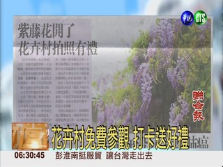 紫藤花開了 台北花卉村拍照有禮