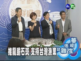 推龍膽石斑 支持台灣漁業