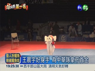 世青少跆拳賽 15歲王晨宇奪首金