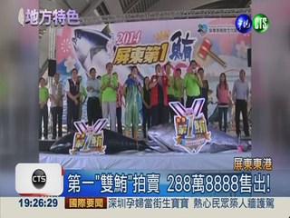 東港第一"雙鮪"拍賣 288萬售出!