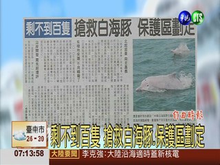 剩不到百隻 搶救白海豚.保護區劃定