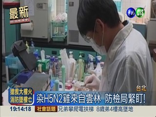 台北市家禽市場 驗出H5N2病毒