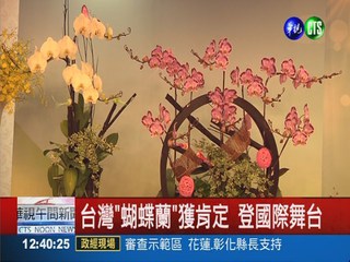 法國國際花卉展 台灣勇奪總冠軍