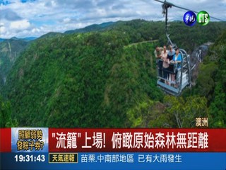 助遊客俯瞰森林 "流籠"成觀光利器