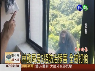 "關猴"防猴害 農民吐槽:無效