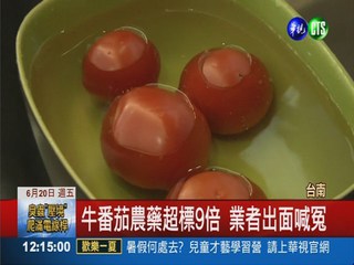 "三皇三家"牛番茄 爆農藥超標9倍!