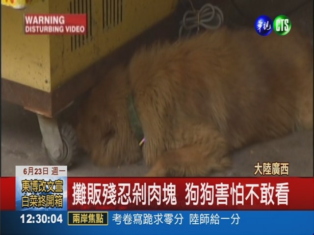 屠殺一萬隻狗! 廣西狗肉節惹爭議 | 華視新聞