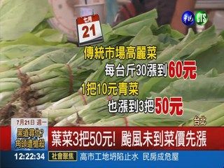 颱風逼近菜價漲 高麗菜1顆賣180!