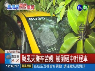 颱風冒險做生意 小黃遭樹砸玻璃