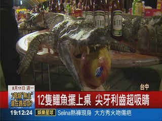 鱷魚咬蘋果當供品 普渡大驚奇!