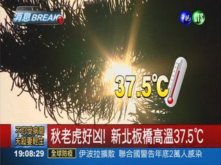 秋老虎好凶! 新北板橋高溫37.5℃