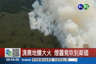 印尼森林大火釀霾害 空污破表