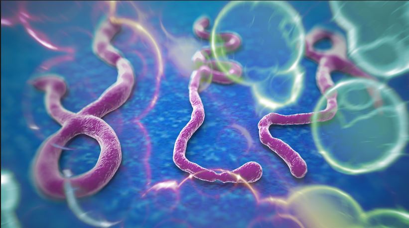 台首伊波拉病例陰性 虛驚一場 | 華視新聞