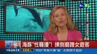 海豚表演"性"起 撲倒女遊客!