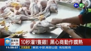 不肖黑心商 死雞灌水增重