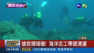 珊瑚礁被毀 小琉球海域沒魚