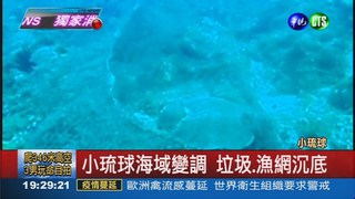 珊瑚礁被毀 小琉球海域沒魚