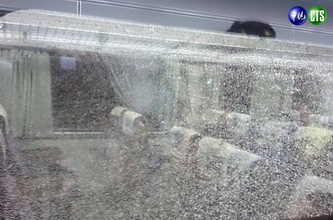 疑撞死ㄧ隻狗 自強號車廂玻璃碎裂沾血跡 | 華視新聞