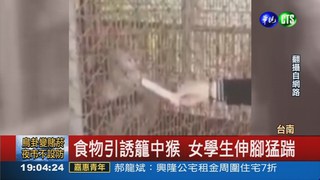 狠踹籠中獼猴 女學生遭肉搜