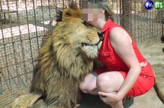 獅子被「撿屍」?! 迷昏強拍照 | 華視新聞