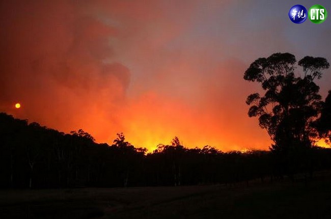 元旦澳洲酷暑 森林大火損失慘重 | 華視新聞