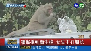 壽山獼猴肆虐 撲殺令惹爭議